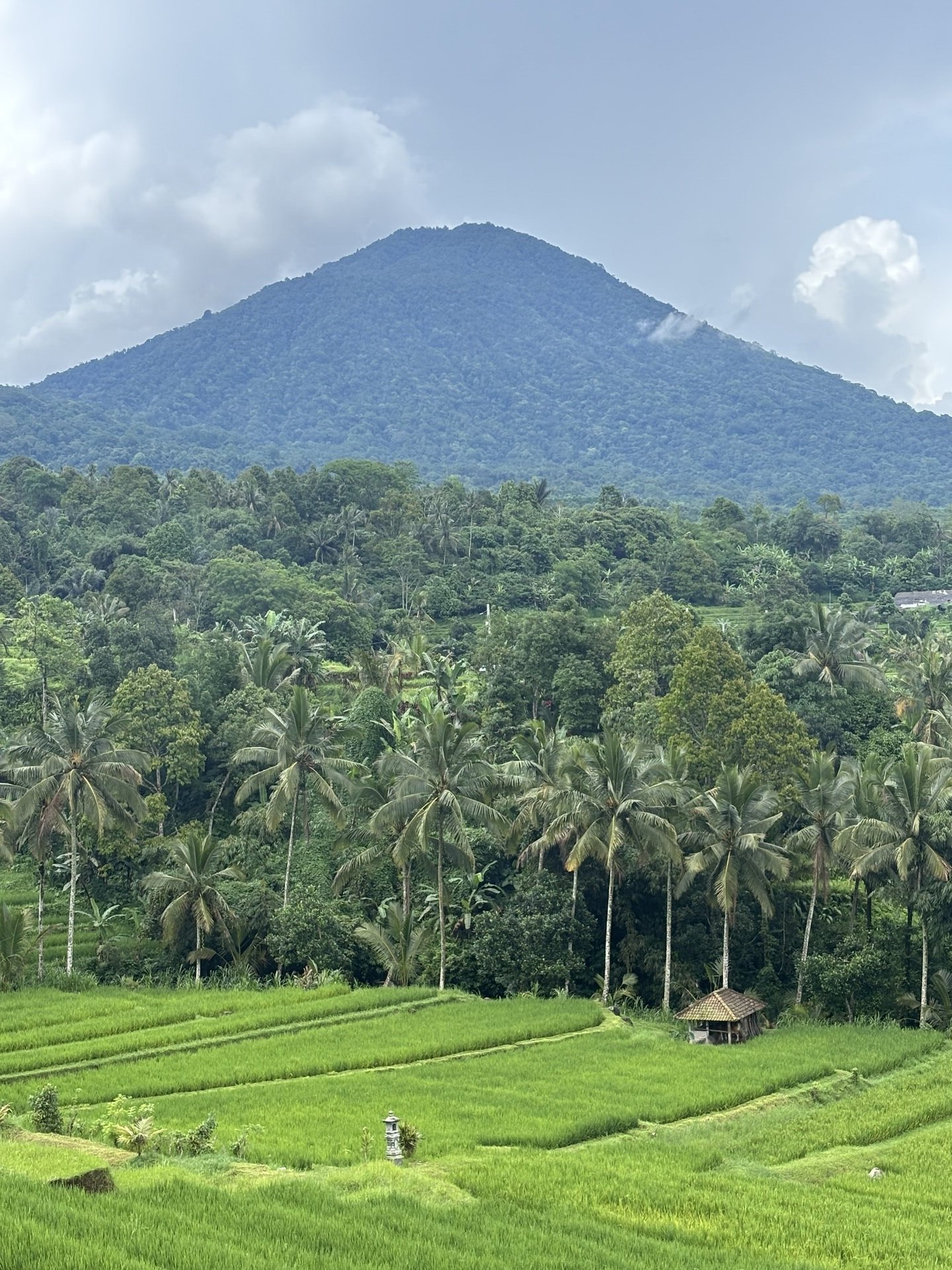 Ubud - duchowe serce Bali